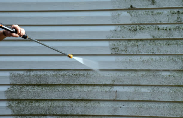 Boat and Dock Cleaning in Beechwood, MI